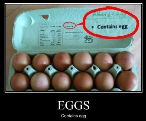 eggs.jpg.2c6e1564e823a0591877e4ced95c7465.jpg
