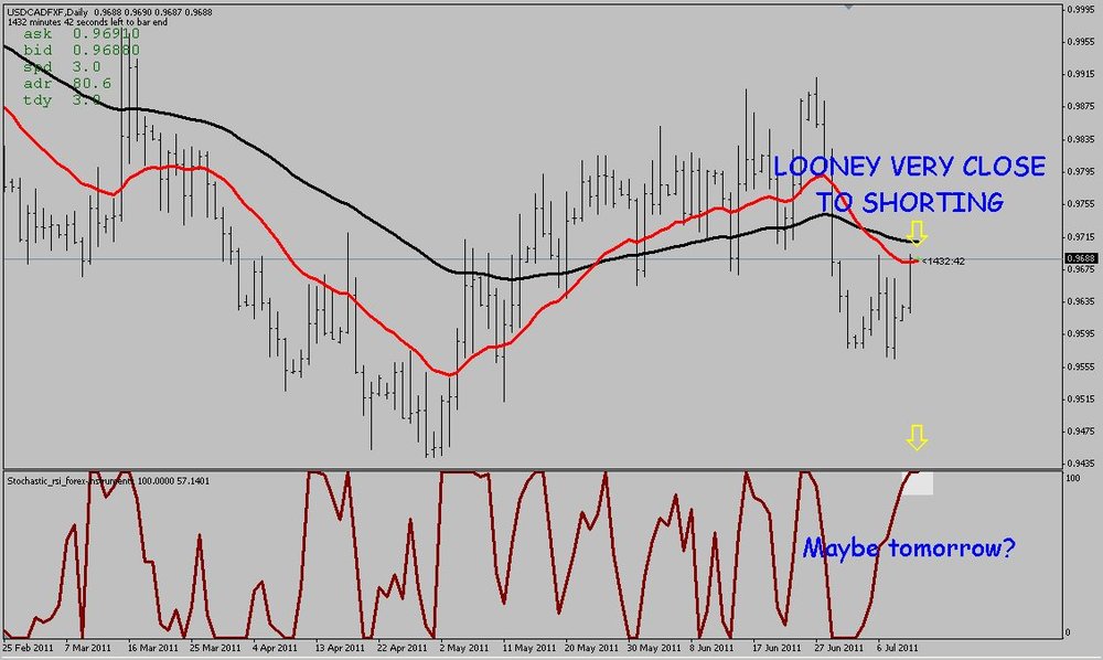 USDCAD_Daily.thumb.JPG.64d53186857f3b974a6921696941a525.JPG